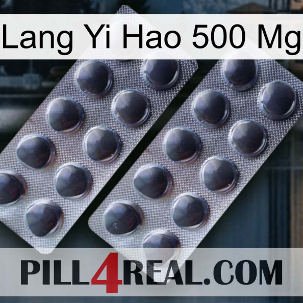 Lang Yi Hao 500 Mg 31.jpg